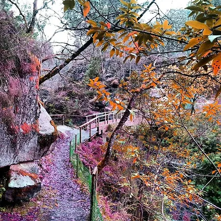 カントリーハウス Finca El Remanso *