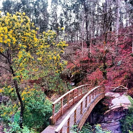 Finca El Remanso Mondoñedo