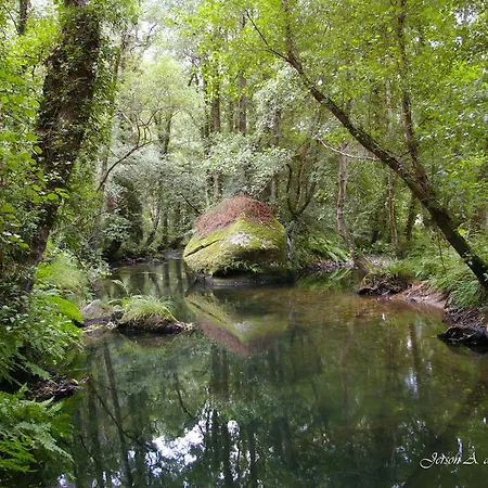Finca El Remanso Mondoñedo
