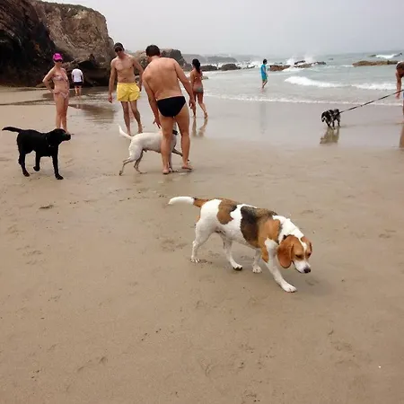 Finca El Remanso カントリーハウス