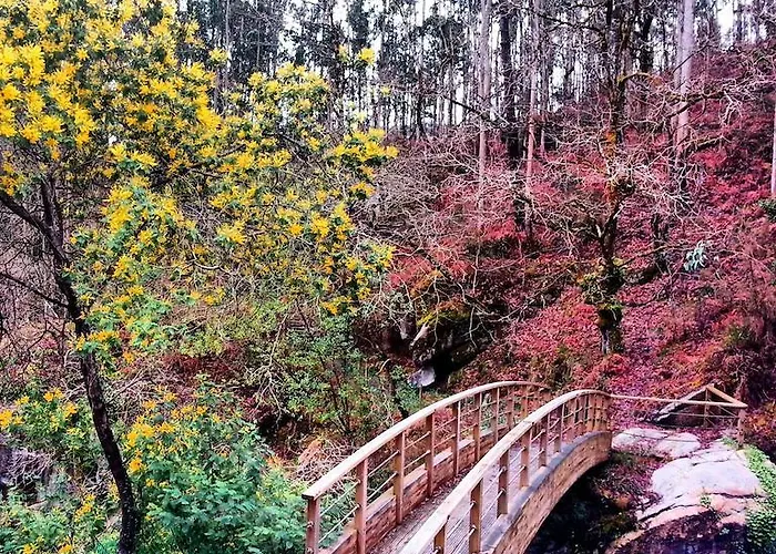 Finca El Remanso Mondoñedo
