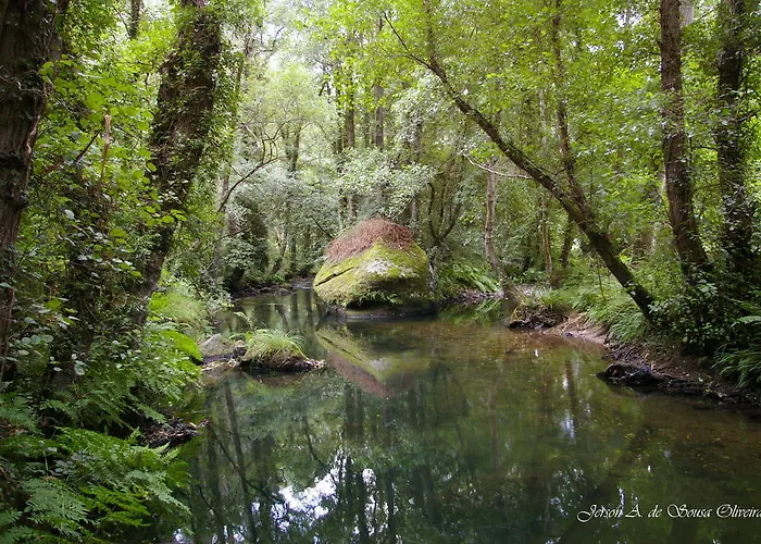 Finca El Remanso Mondoñedo