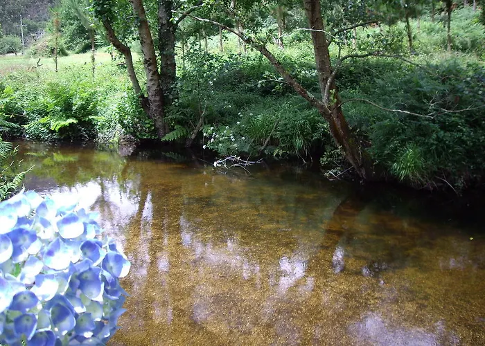 Finca El Remanso Mondoñedo