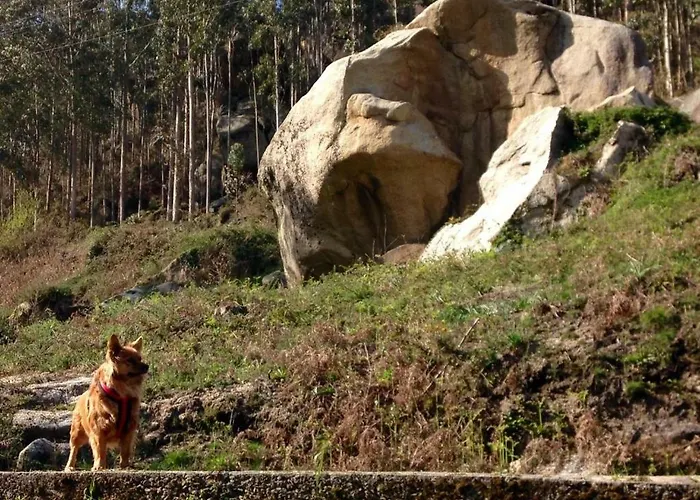 Finca El Remanso * Mondoñedo